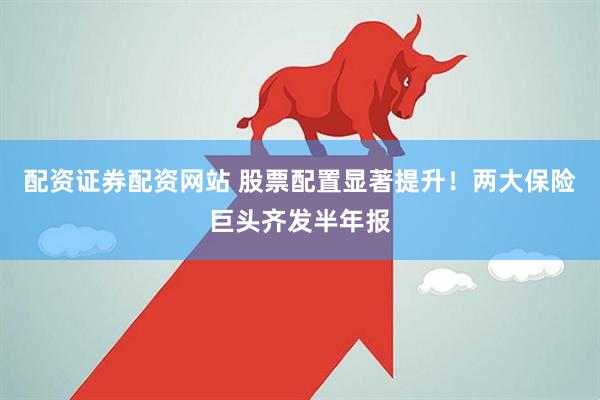 配资证券配资网站 股票配置显著提升！两大保险巨头齐发半年报