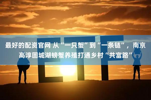最好的配资官网 从“一只蟹”到“一条链”,南京高淳固城湖螃蟹养殖打通乡村“共富路”
